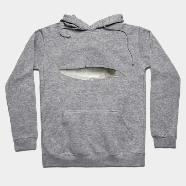 Wels Catfish Hoodie by FishFolkArt